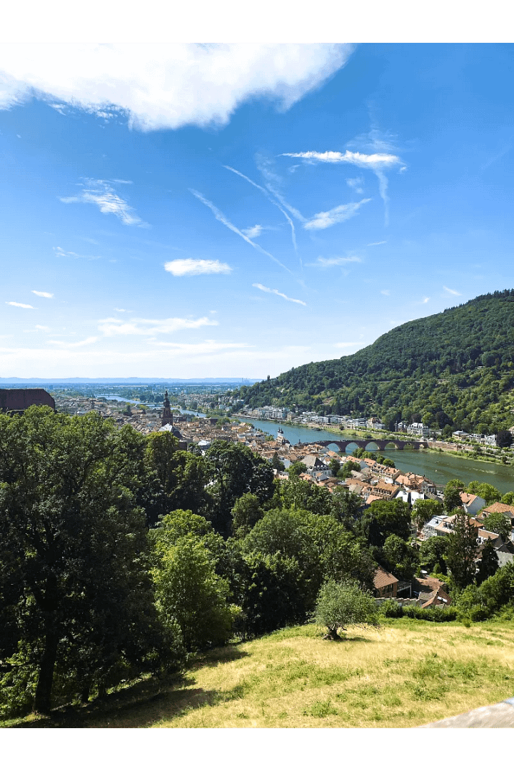 Picture of Heidelberg from distance.