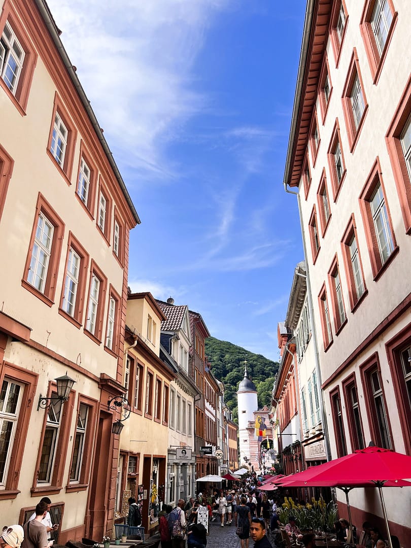 Things to Do in Heidelberg, in One Day
